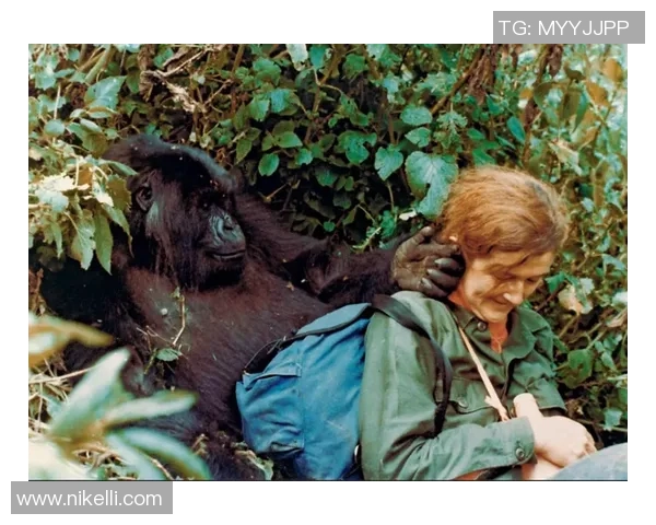 法国足球巨星猩猩是谁他的传奇故事与不为人知的足球生涯 法国足球巨星猩猩是谁他的传奇故事与不为人知的足球生涯