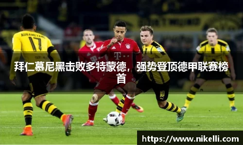 im电竞官网