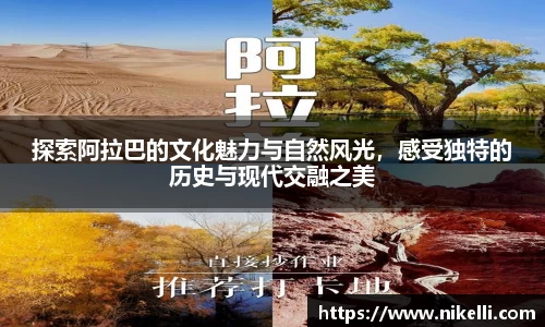im电竞官网